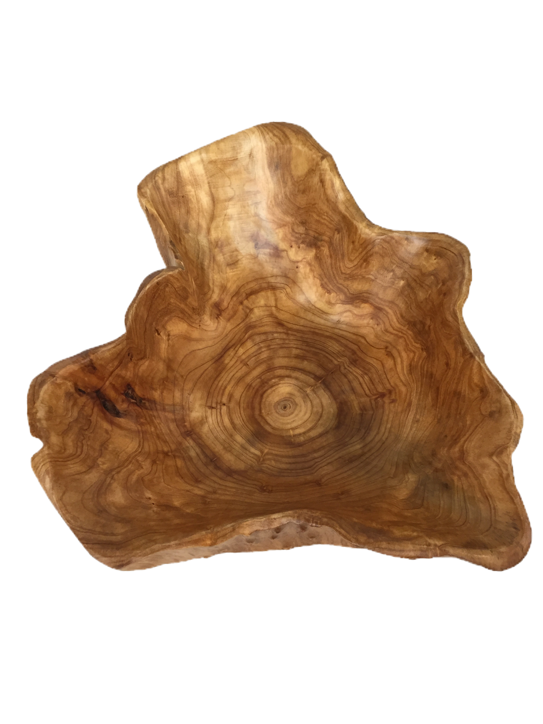 Hand-Crafted Root Wood Live Edge Bowl - Extra Large (20-21