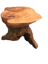 Hand-Crafted Root Wood Live Edge Wood Table (16")